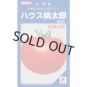 画像: 送料無料　[トマト/桃太郎系]　ハウス桃太郎　1000粒　貴種(コートしてません)　タキイ種苗(株)