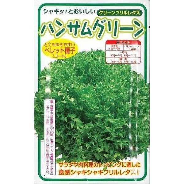 画像1: 送料無料　[レタス]　ハンサムグリーン　100粒　横浜植木(株) (1)