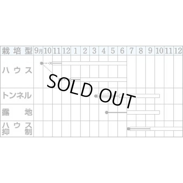 画像2: 送料無料　[オクラ]　アーリーファイブ　90粒　タキイ種苗(株)　PF (2)