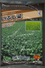 画像: [緑肥]　チャガラシ　いぶし菜　1kg　タキイ種苗(株)