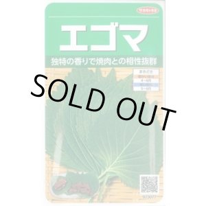 画像: 送料無料　[葉物]　エゴマ　約800粒　(株)サカタのタネ　実咲250（002973）