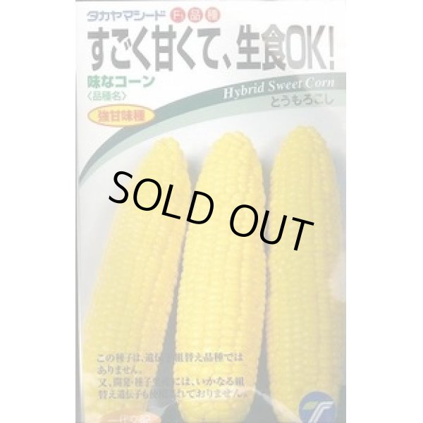 画像1: 送料無料　[とうもろこし]　味なコーン　200粒　(株)タカヤマシード (1)