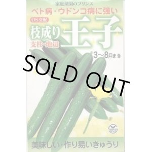 画像: 送料無料　[キュウリ]　枝成り王子　400粒　埼玉原種育成会