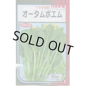 画像: 送料無料　[葉物]　オータムポエム　20ml　（株）サカタのタネ