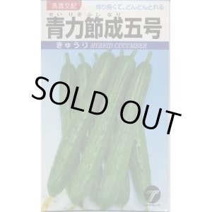 画像: 送料無料　[キュウリ]　青力節成五号　20ml(株)タカヤマシード