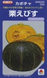 画像: 送料無料　[かぼちゃ]　栗えびす　100粒　タキイ種苗(株)