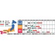 画像2: 送料無料　[かぼちゃ]　コリンキー　約10粒　(株)サカタのタネ　実咲450（002879） (2)