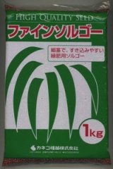 画像: [緑肥]　ソルガム　ファインソルゴー　(イネ科)1kg　カネコ種苗(株)