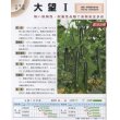 画像2: 送料無料　[キュウリ]　大望1　350粒　(株)ときわ研究場 (2)