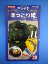 画像: 送料無料　[かぼちゃ]　ほっこり姫　100粒　タキイ種苗(株)