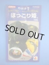 画像: 送料無料　[かぼちゃ]　ほっこり姫　100粒　タキイ種苗(株)