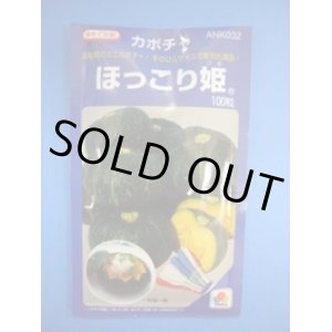 画像: 送料無料　[かぼちゃ]　ほっこり姫　100粒　タキイ種苗(株)