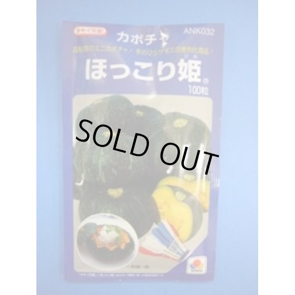 画像1: 送料無料　[かぼちゃ]　ほっこり姫　100粒　タキイ種苗(株) (1)