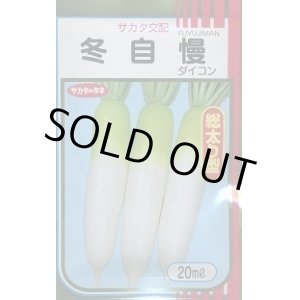 画像: 送料無料　大根　冬自慢　20ml　(株)サカタのタネ