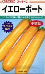 画像: 送料無料　[ズッキーニ]　イエローボート　10粒　カネコ交配