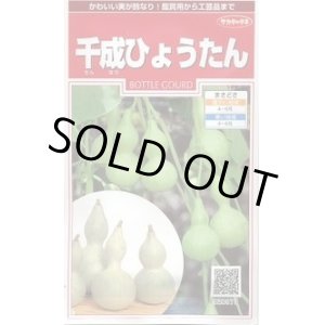 画像: 送料無料　千成ひょうたん　約40粒　(株)サカタのタネ　実咲200（002862）