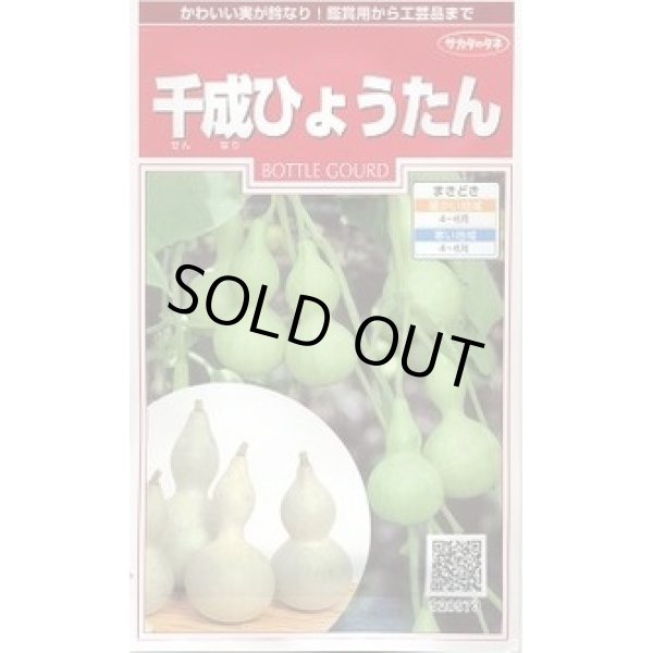 画像1: 送料無料　千成ひょうたん　約40粒　(株)サカタのタネ　実咲250（002862） (1)