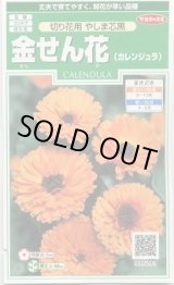 画像: 送料無料　花の種　金せん花　(カレンジュラ)　改良早生中安　約50粒　(株)サカタのタネ　実咲250（026226）