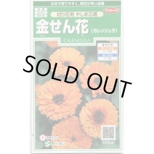 画像: 送料無料　花の種　金せん花　(カレンジュラ)　改良早生中安　約50粒　(株)サカタのタネ　実咲250（026226）