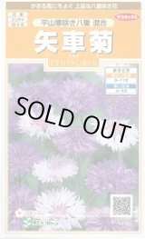 画像: 送料無料　花の種　矢車菊　平山寒咲き八重混合　約67粒　(株)サカタのタネ　実咲200（026366）