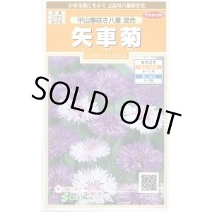 画像: 送料無料　花の種　矢車菊　平山寒咲き八重混合　約67粒　(株)サカタのタネ　実咲200（026366）