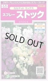 画像: 送料無料　花の種　スプレーストック　カルテットミックス　約75粒　(株)サカタのタネ　実咲350（026116）