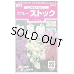 画像: 送料無料　花の種　スプレーストック　カルテットミックス　約75粒　(株)サカタのタネ　実咲350（026116）