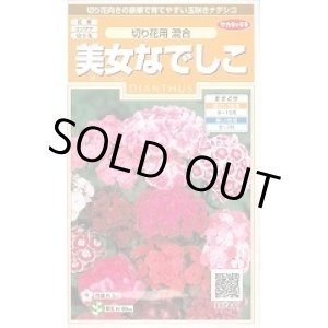 画像: 送料無料　花の種　美女なでしこ　切り花用混合　約175粒　(株)サカタのタネ　実咲200（026342）