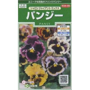 画像: 送料無料　花の種　パンジー　シャロンジャイアントミックス　約34粒　(株)サカタのタネ　実咲250（026267）