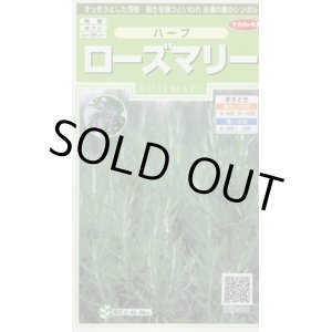 画像: 送料無料　[ハーブの種]　ローズマリー　約65粒　(株)サカタのタネ　実咲（003194）