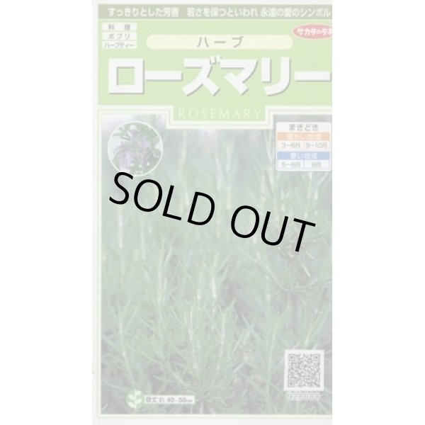 画像1: 送料無料　[ハーブの種]　ローズマリー　約65粒　(株)サカタのタネ　実咲（003194） (1)