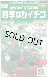 画像: 送料無料　花の種　ワイルドストロベリー　(四季なりイチゴ)　約143粒　　(株)サカタのタネ　実咲250（026217）