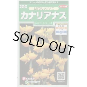 画像: 送料無料　花の種　カナリアナス　(とげなしつのなす)　約39粒　(株)サカタのタネ　実咲250（026258）