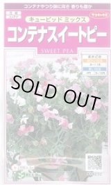 画像: 送料無料　花の種　コンテナスイートピー　キューピッドミックス　約15粒　(株)サカタのタネ　実咲350（026115）