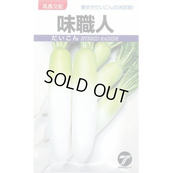 画像1: 送料無料　[大根]　味職人　20ml　(株)タカヤマシード (1)