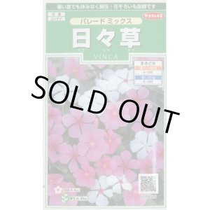 画像: 送料無料　花の種　日々草　パレードミックス　約100粒　(株)サカタのタネ　実咲250（026265）