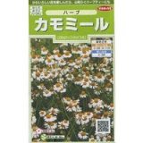 画像: 送料無料　[ハーブの種]　カモミール　約4150粒　(株)サカタのタネ　実咲（003179）