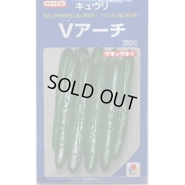 画像1: 送料無料　[キュウリ]　Ｖアーチ　350粒　タキイ種苗(株) (1)