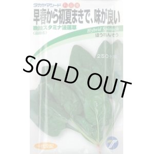 画像: 送料無料　[ほうれんそう]　晩抽スタミナ　法蓮草　30ml　(株)タカヤマシード