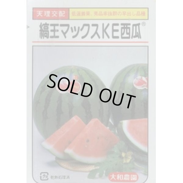 画像1: 送料無料　[スイカ]　大玉スイカ　縞王マックスＫＥ西瓜　7粒　大和農園 (1)