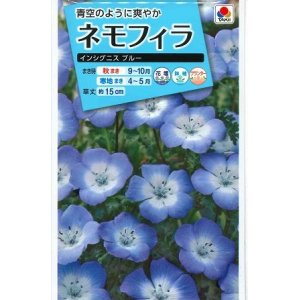 画像: 送料無料　花の種　ネモフィラ　インシグニスブルー　1ml　タキイ種苗