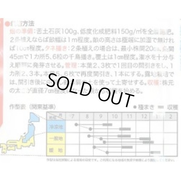 画像2: 送料無料　[大根]　おでん太郎2号　15ml (2)