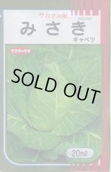 画像: 送料無料　[キャベツ]　みさき　20ml　（株）サカタのタネ