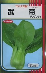 画像: 送料無料　[中国野菜]　チンゲンサイ　武帝チンゲンサイ　20ml