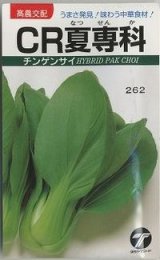 画像: 送料無料　[中国野菜]　チンゲンサイ　CR夏専科　2.5ml　(株)タカヤマシード