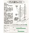 画像2: 送料無料　[キュウリ]　大望　20粒　(株)ときわ研究場 (2)