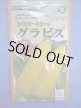 画像: 送料無料　[とうもろこし]　グラビス　200粒　雪印種苗