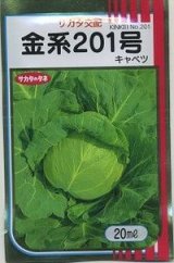 画像: 送料無料　[キャベツ]　金系201号　2000粒　（株）サカタのタネ