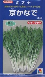 画像: 送料無料　[葉物]　水菜　京かなで　20ml　タキイ種苗(株)