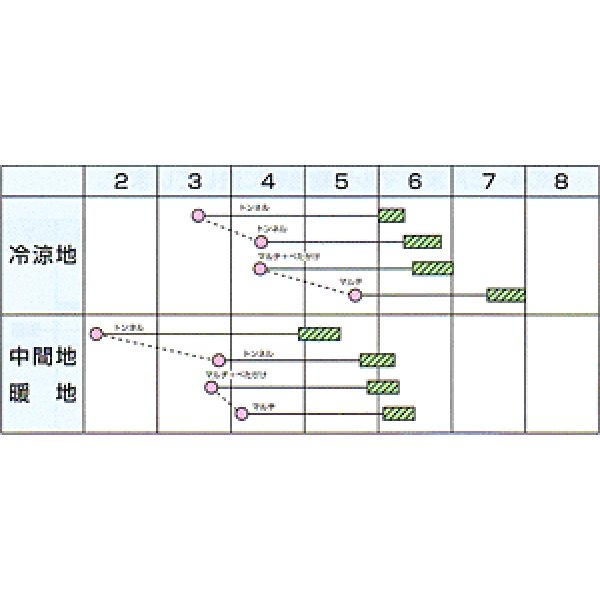 画像2: 送料無料　[大根]　美春　2dl　カネコ種苗 (2)